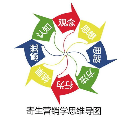 福建教育小程序与打车软件开发 定制化解决方案与模板应用